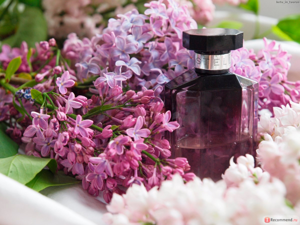 Сьогодні ми приділимо увагу найголовнішим квітам - фаворитам в парфумерної індустрії
